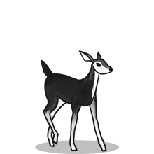 质量保证的{固定网站名称23}